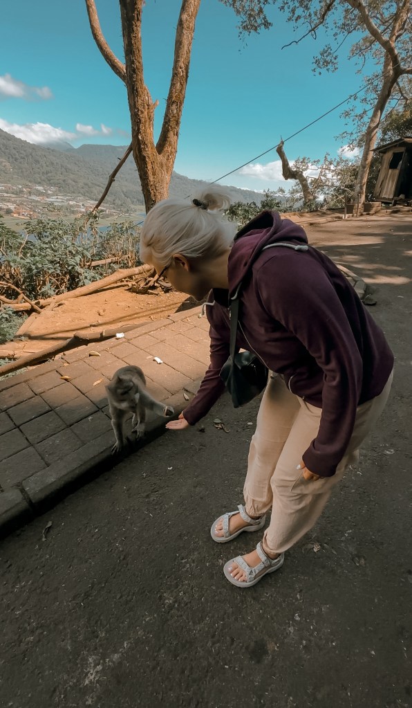 INCONTRO CON SCIMMIA MUNDUK INDONESIA